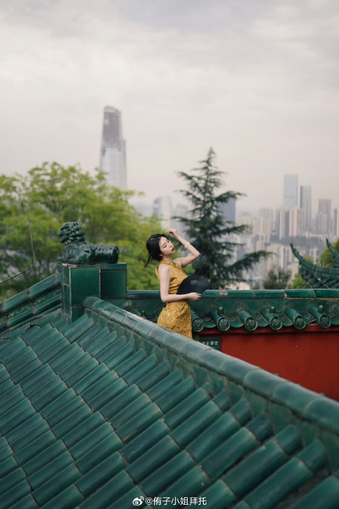 半岛 封面